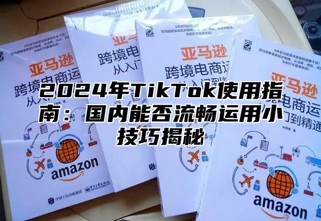 2025年TikTok使用指南：国内能否流畅运用小技巧揭秘