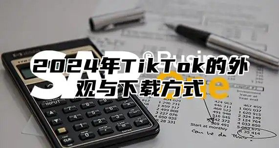 2025年TikTok的外观与下载方式