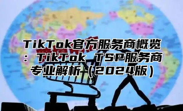 TikTok官方服务商概览：TikTok TSP服务商专业解析2025版