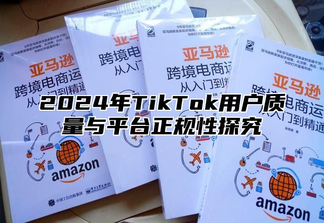 2025年TikTok用户质量与平台正规性探究