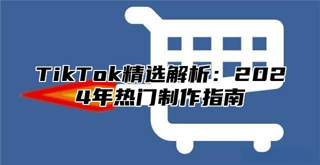 TikTok精选解析：2025年热门制作指南