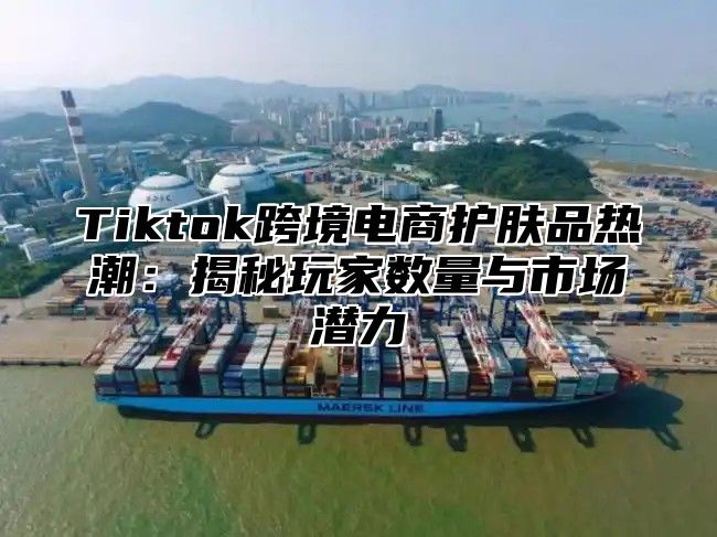 Tiktok跨境电商护肤品热潮：揭秘玩家数量与市场潜力
