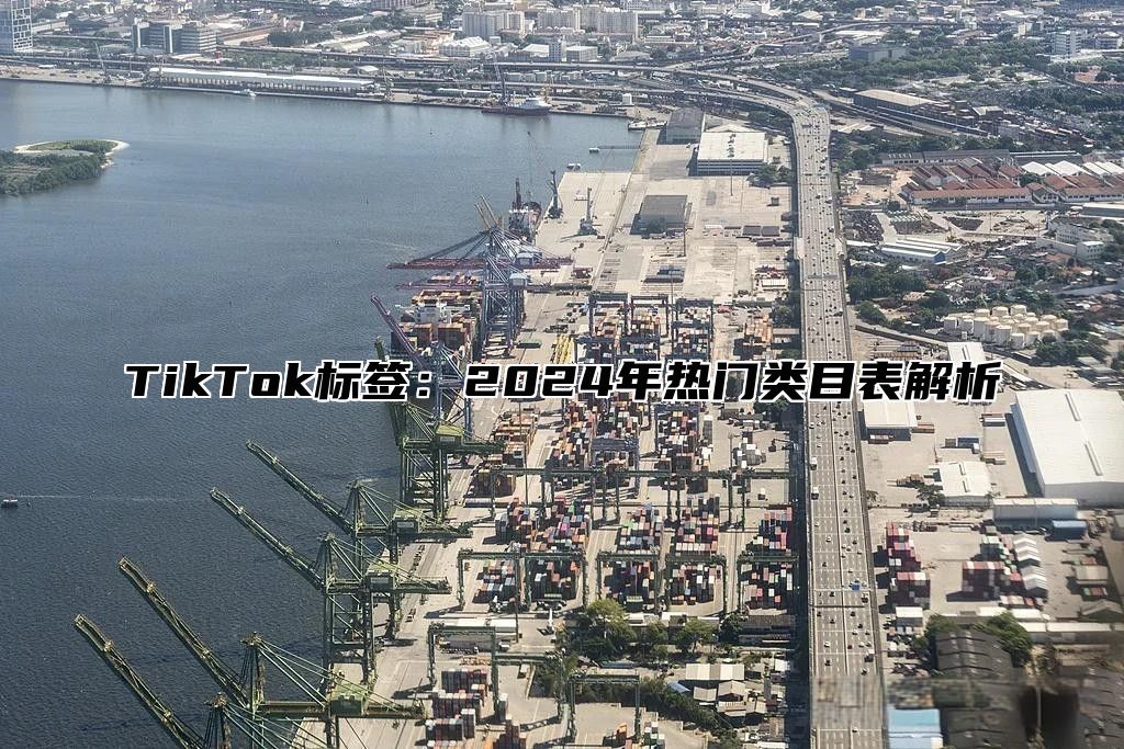 TikTok标签：2025年热门类目表解析