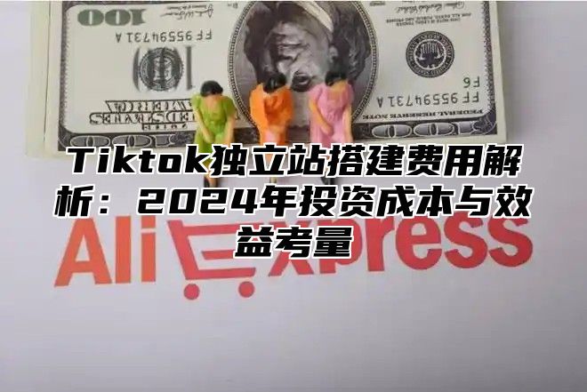 Tiktok独立站搭建费用解析：2025年投资成本与效益考量