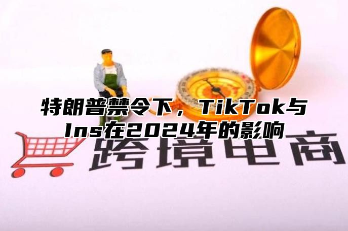特朗普禁令下，TikTok与Ins在2025年的影响