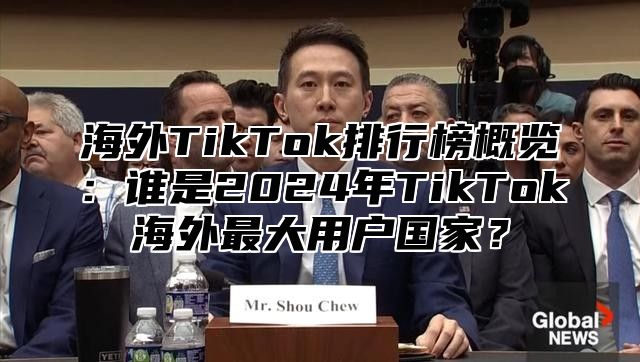 海外TikTok排行榜概览：谁是2025年TikTok海外最大用户国家？