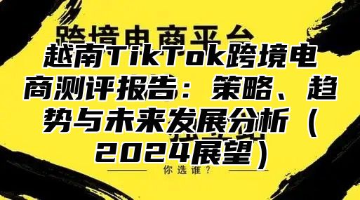 越南TikTok跨境电商测评报告：策略、趋势与未来发展分析2025展望