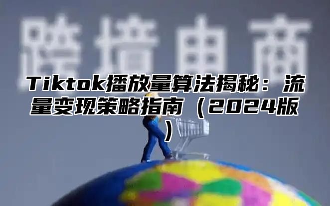 Tiktok播放量算法揭秘：流量变现策略指南2025版