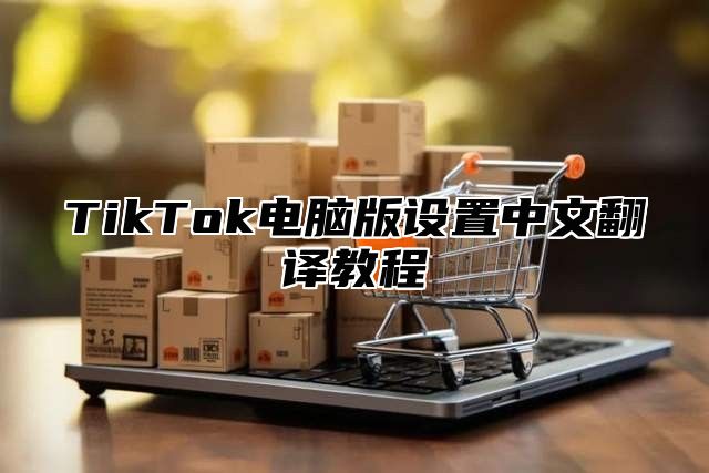 TikTok电脑版设置中文翻译教程