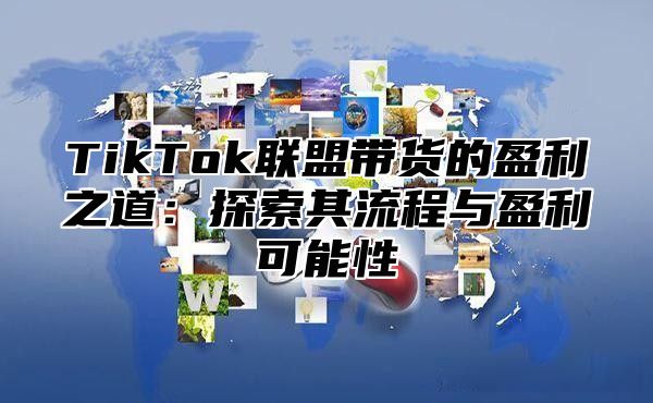 TikTok联盟带货的盈利之道：探索其流程与盈利可能性