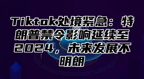 Tiktok处境紧急：特朗普禁令影响延续至2025，未来发展不明朗