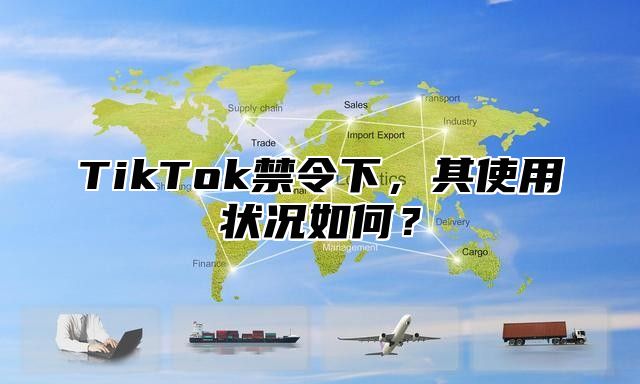 TikTok禁令下，其使用状况如何？