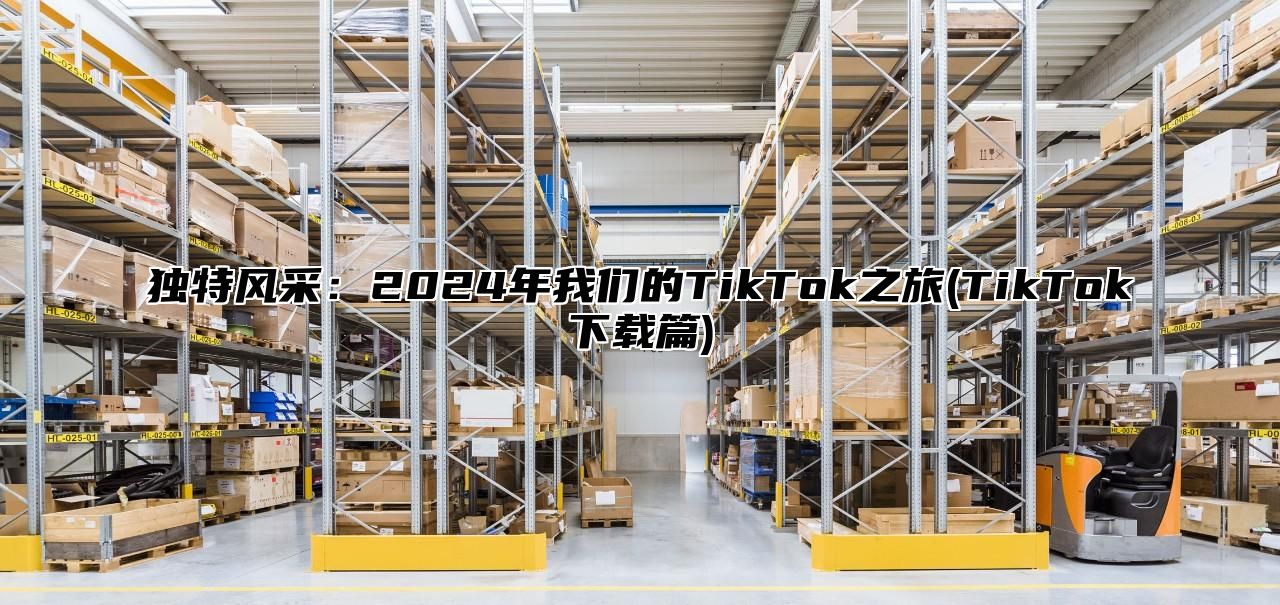 独特风采：2025年我们的TikTok之旅(TikTok下载篇)