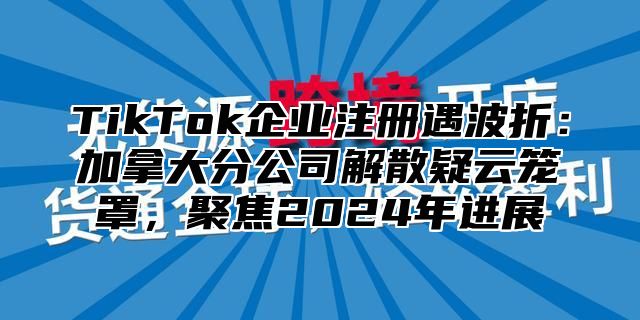 TikTok企业注册遇波折：加拿大分公司解散疑云笼罩，聚焦2025年进展