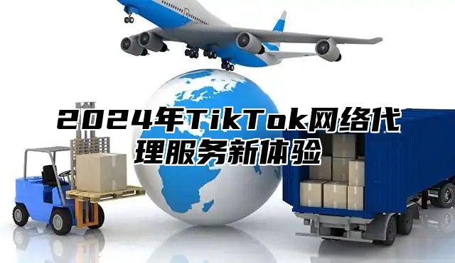 2025年TikTok网络代理服务新体验