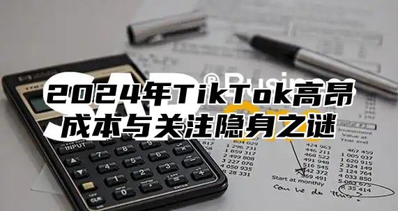2025年TikTok高昂成本与关注隐身之谜