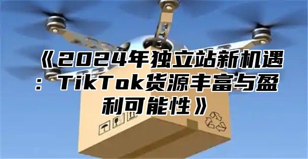 2025年独立站新机遇：TikTok货源丰富与盈利可能性
