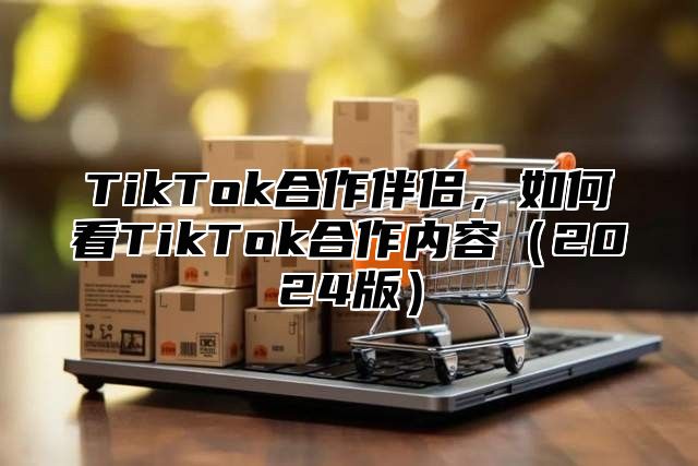 TikTok合作伴侣，如何看TikTok合作内容2025版
