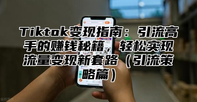 Tiktok变现指南：引流高手的赚钱秘籍，轻松实现流量变现新套路引流策略篇