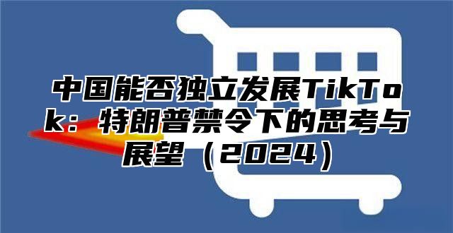 中国能否独立发展TikTok：特朗普禁令下的思考与展望2025