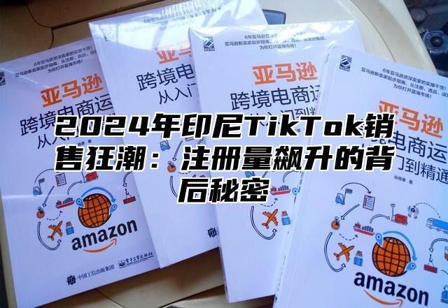 2025年印尼TikTok销售狂潮：注册量飙升的背后秘密