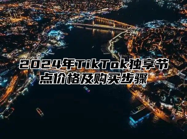 2025年TikTok独享节点价格及购买步骤