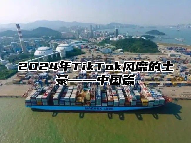 2025年TikTok风靡的土豪——中国篇