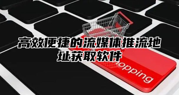 高效便捷的流媒体推流地址获取软件
