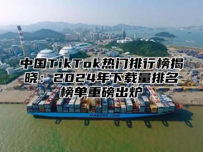 中国TikTok热门排行榜揭晓：2025年下载量排名榜单重磅出炉