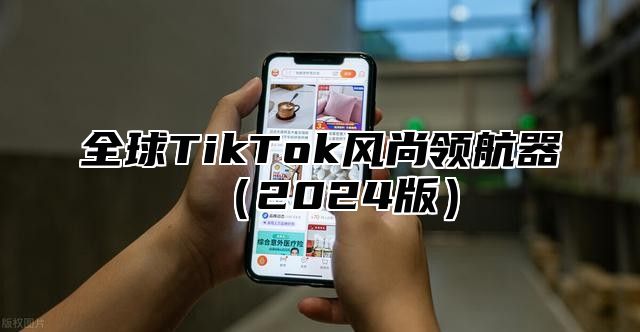 全球TikTok风尚领航器2025版