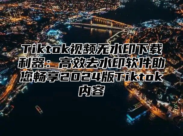 Tiktok视频无水印下载利器：高效去水印软件助您畅享2025版Tiktok内容