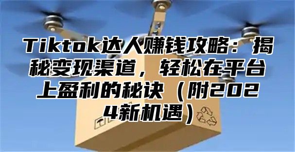 Tiktok达人赚钱攻略：揭秘变现渠道，轻松在平台上盈利的秘诀附2025新机遇