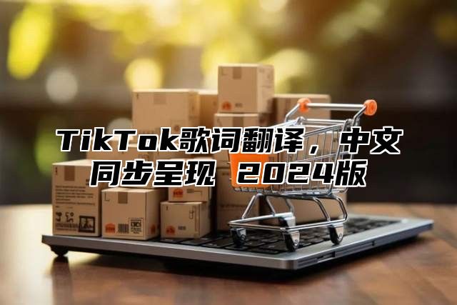 TikTok歌词翻译，中文同步呈现 2025版