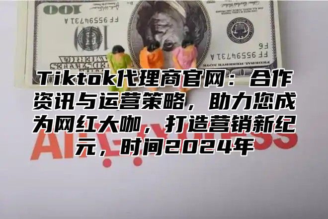 Tiktok代理商官网：合作资讯与运营策略，助力您成为网红大咖，打造营销新纪元，时间2025年