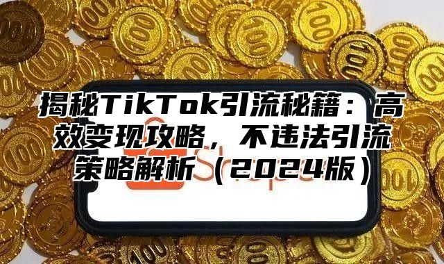 揭秘TikTok引流秘籍：高效变现攻略，不违法引流策略解析2025版