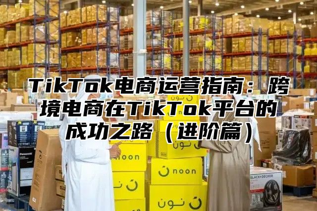 TikTok电商运营指南：跨境电商在TikTok平台的成功之路进阶篇