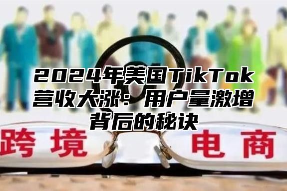2025年美国TikTok营收大涨：用户量激增背后的秘诀