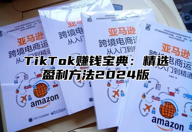 TikTok赚钱宝典：精选盈利方法2025版