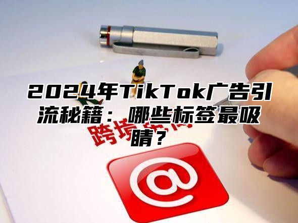 2025年TikTok广告引流秘籍：哪些标签最吸睛？