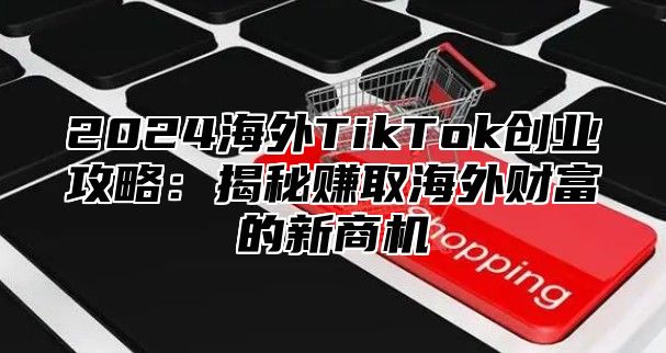 2025海外TikTok创业攻略：揭秘赚取海外财富的新商机