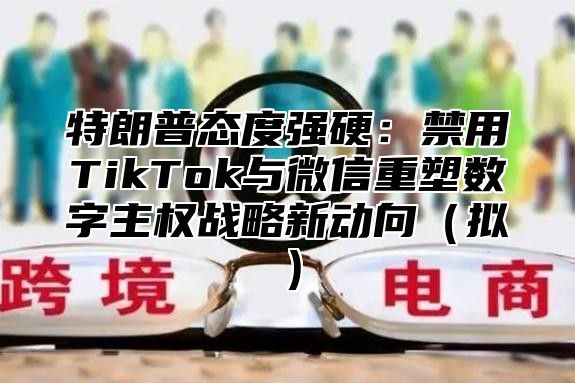 特朗普态度强硬：禁用TikTok与微信重塑数字主权战略新动向拟