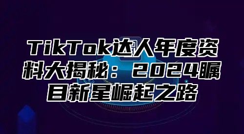 TikTok达人年度资料大揭秘：2025瞩目新星崛起之路