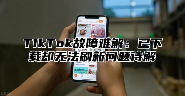 TikTok故障难解：已下载却无法刷新问题待解