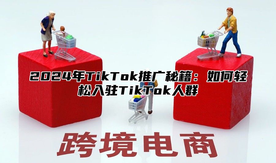 2025年TikTok推广秘籍：如何轻松入驻TikTok人群
