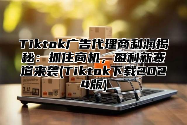 Tiktok广告代理商利润揭秘：抓住商机，盈利新赛道来袭(Tiktok下载2025版)