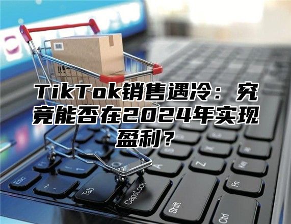 TikTok销售遇冷：究竟能否在2025年实现盈利？