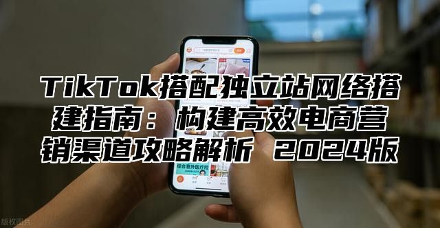TikTok搭配独立站网络搭建指南：构建高效电商营销渠道攻略解析 2025版