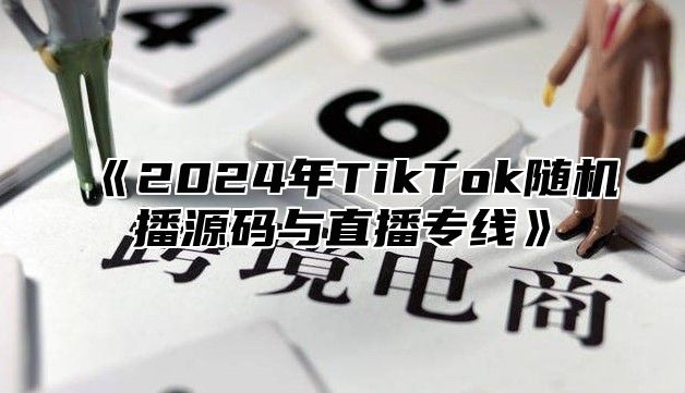 2025年TikTok随机播源码与直播专线