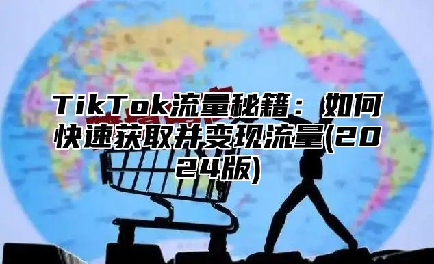 TikTok流量秘籍：如何快速获取并变现流量(2025版)