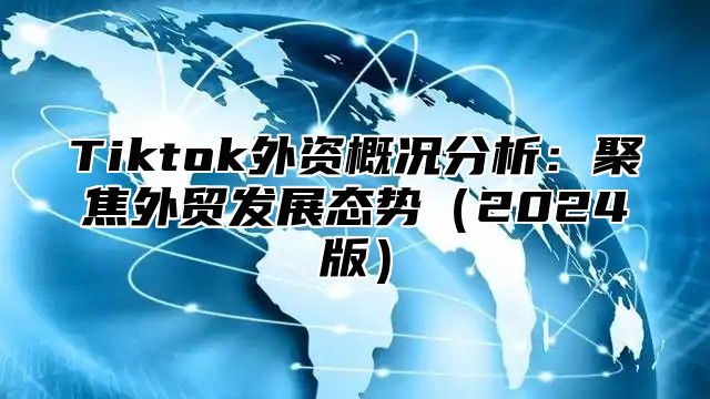 Tiktok外资概况分析：聚焦外贸发展态势2025版